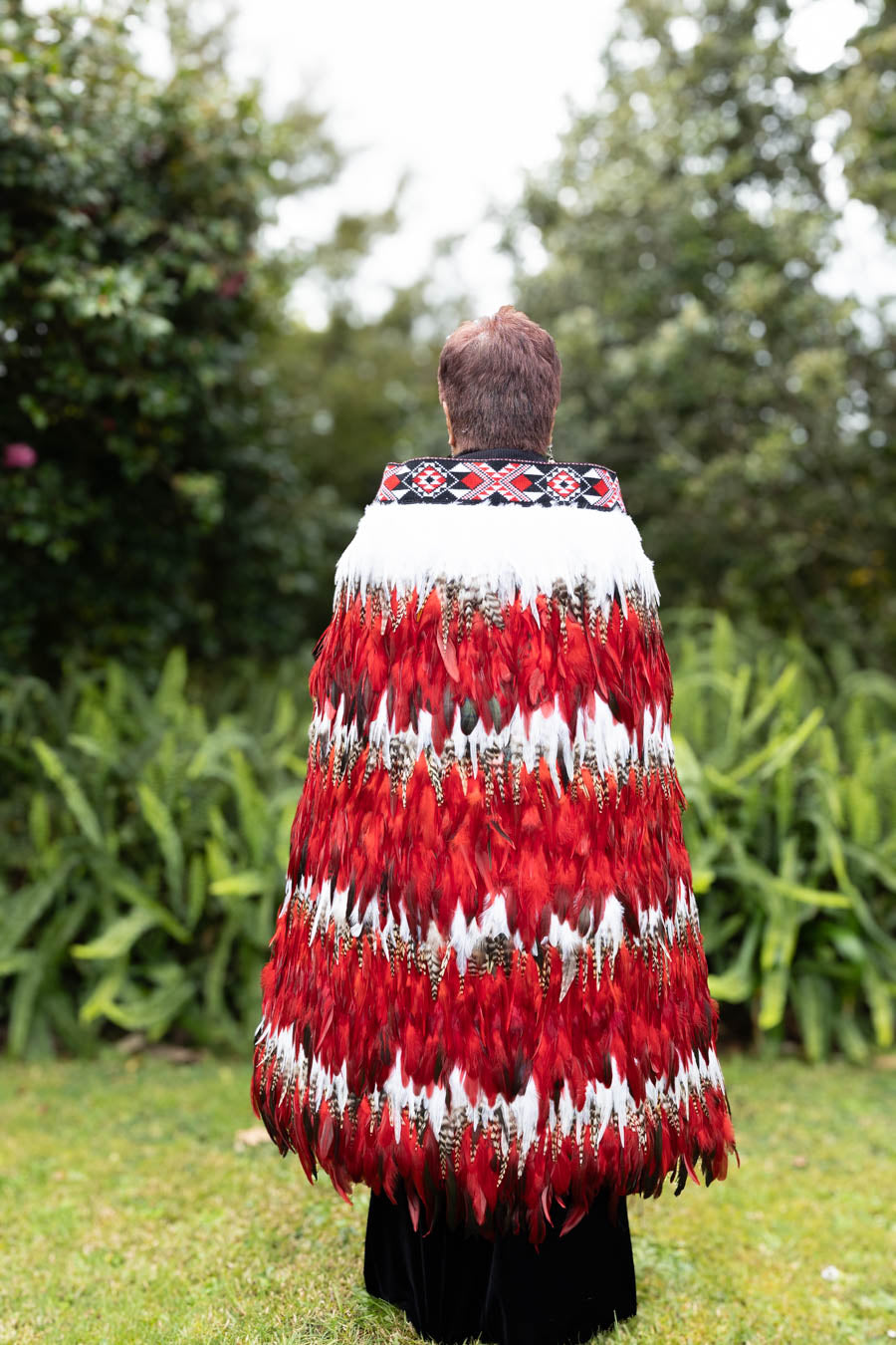 Pohutakawa Red