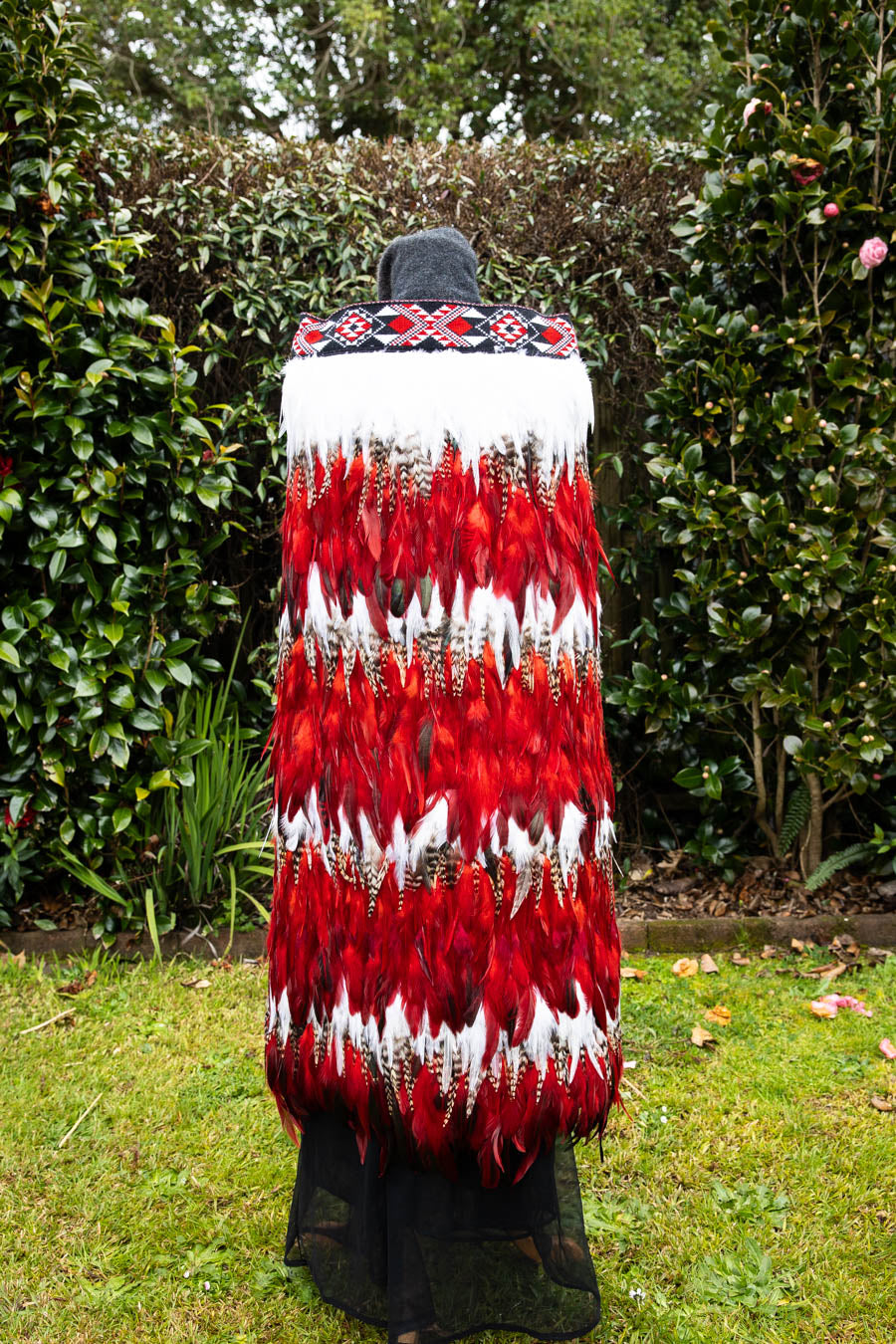 Pohutakawa Red