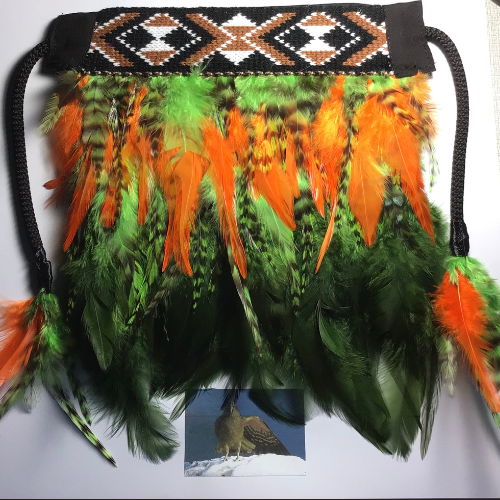 Karearea (Falcon Bird) - Korowai In Frame